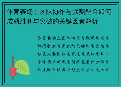 体育赛场上团队协作与默契配合如何成就胜利与突破的关键因素解析